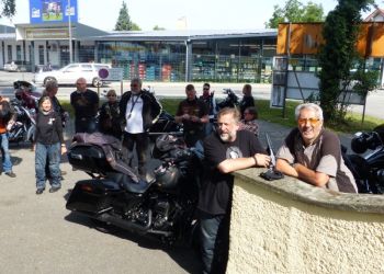 phoca thumb l p1180398