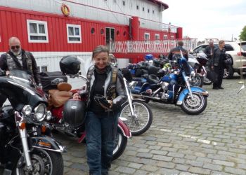 phoca thumb l p1180406