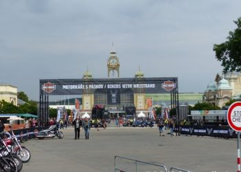 phoca thumb l p1180414