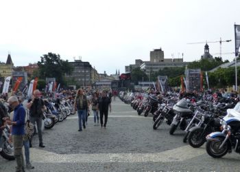 phoca thumb l p1180418