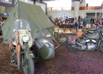 phoca thumb l p1180420