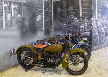 phoca thumb l p1180422