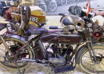 phoca thumb l p1180424