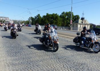 phoca thumb l p1180471