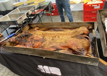 phoca thumb l img0230617 185511