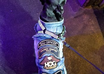 whatsapp bild 2024 11 15 um 20.11.10ead7aeb