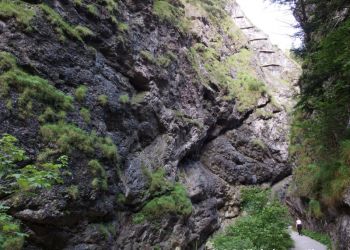 phoca thumb l 2016 07 02.02.30