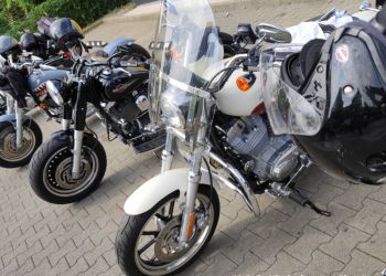 phoca thumb l img 20220723