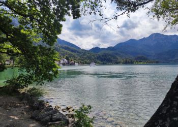 phoca thumb l img 20230722