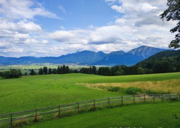 phoca thumb l img 20230722