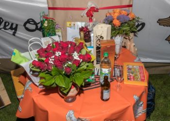 phoca thumb l 20170811