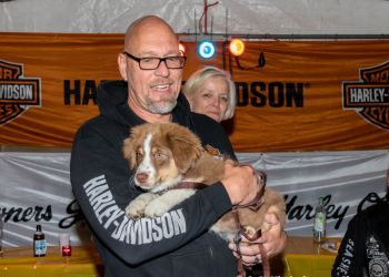 phoca thumb l 20170811