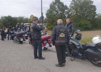 phoca thumb l 20231008