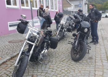 phoca thumb l 20231008