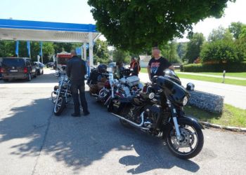 phoca thumb l hog salzkammergut