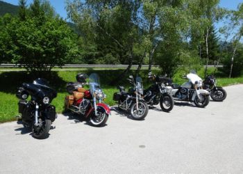 phoca thumb l hog salzkammergut