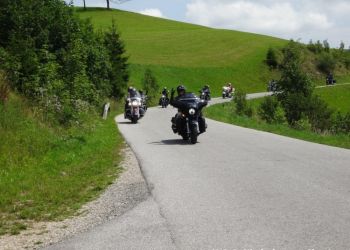 phoca thumb l hog salzkammergut