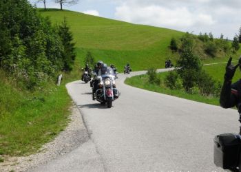 phoca thumb l hog salzkammergut