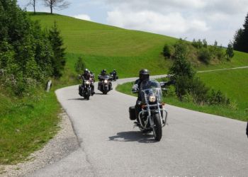 phoca thumb l hog salzkammergut