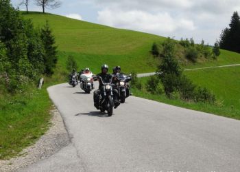 phoca thumb l hog salzkammergut