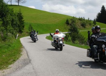 phoca thumb l hog salzkammergut