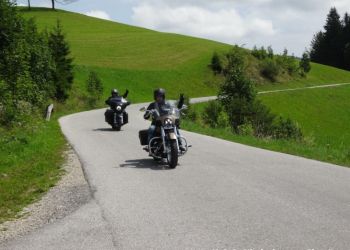 phoca thumb l hog salzkammergut