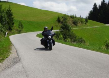 phoca thumb l hog salzkammergut