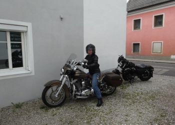 phoca thumb l hog salzkammergut