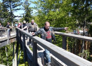 phoca thumb l 20160506