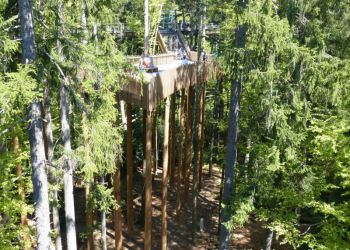 phoca thumb l 20160506