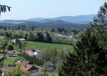 phoca thumb l 20160506