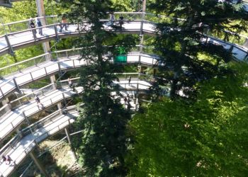 phoca thumb l 20160506