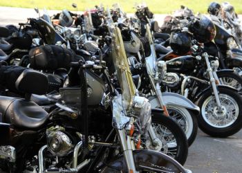 phoca thumb l 20160506