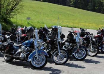 phoca thumb l 20160506