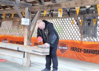 phoca thumb l 20160506