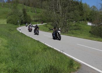 phoca thumb l 20160507