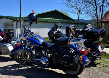 phoca thumb l 20160507