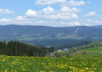 phoca thumb l 20160507