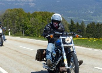 phoca thumb l 20160507