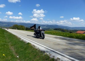 phoca thumb l 20160507