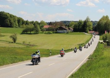 phoca thumb l 20160507