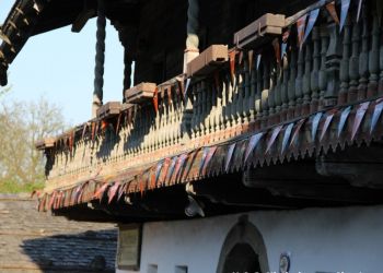 phoca thumb l 20160505