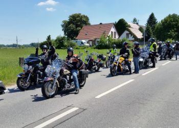 phoca thumb l 2017 b2d large