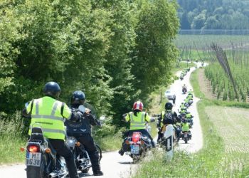 phoca thumb l 2017 b2d large