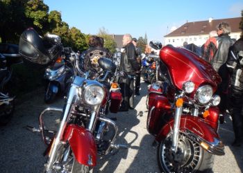 phoca thumb l dscn2385 large