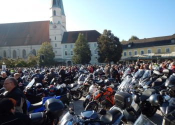 phoca thumb l dscn2390 large