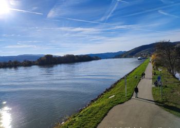 phoca thumb l img 20221112