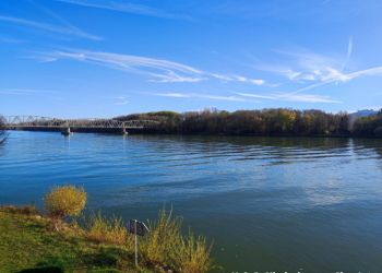 phoca thumb l img 20221112