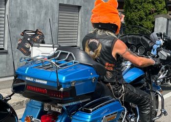 whatsapp bild 2024 09 07 um.23.55 d69f6548