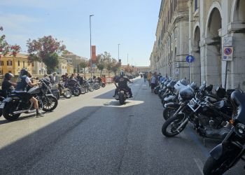 118 senigallia